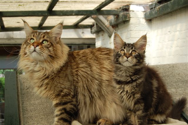 youp gaga en nina week 15 035.jpg